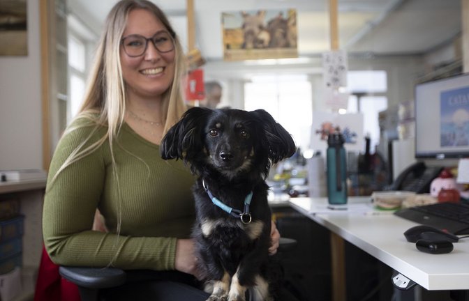 Bürohund Kylo geht mit seiner Besitzerin Jasmin Balle täglich zur Arbeit in den Kosmos-Verlag.<span class='image-autor'>Foto: Lichtgut/Leif Piechowski</span>