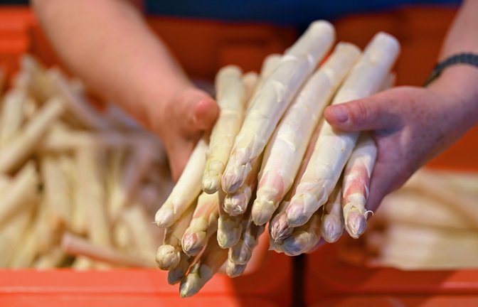 Die Deutschen haben ihren Spargel am liebsten weiß.<span class='image-autor'>Foto: dpa/Martin Schutt</span>