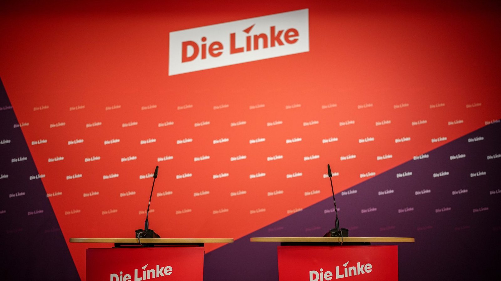 Die Partei „Die Linke“ braucht bald neue Vorsitzende.Foto: dpa/Kay Nietfeld