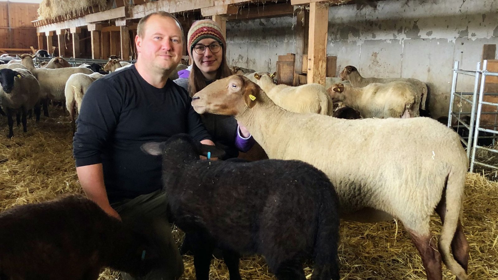 Bernd und Kathrin Vogelbacher halten insgesamt 200 Ziegen und Schafe, 150 Lämmer sowie sechs Mutterkühe, sechs Kälber und einen Bullen.Foto: Florian Dürr