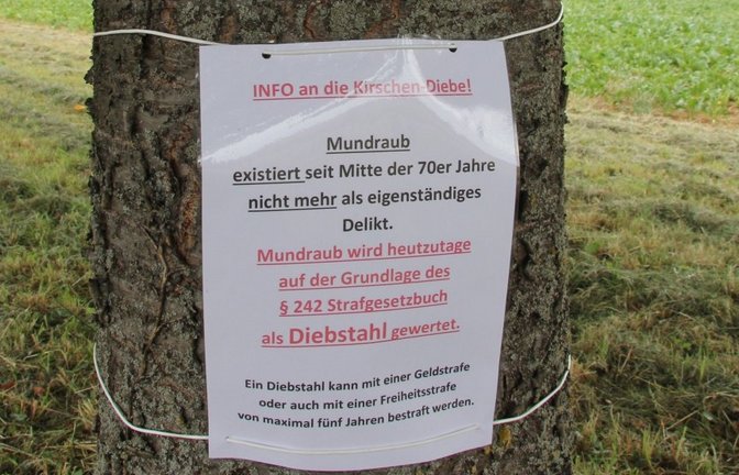 Mancher Baumbesitzer weiß sich nur noch mit Schildern zu helfen. Archivfoto: VKZ/Banholzer