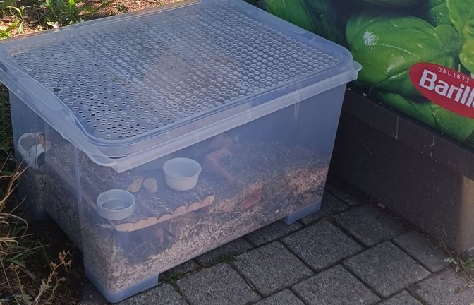 Der Hamster hatte offenbar mehrere Tage keinen Zugang zu Nahrung und Flüssigkeit.<span class='image-autor'>Foto: Polizeipräsidium Offenburg</span>
