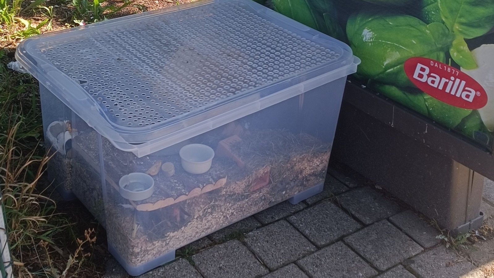 Der Hamster hatte offenbar mehrere Tage keinen Zugang zu Nahrung und Flüssigkeit.Foto: Polizeipräsidium Offenburg Der Hamster hatte offenbar mehrere Tage keinen Zugang zu Nahrung und Flüssigkeit.Foto: Polizeipräsidium Offenburg