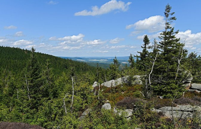Das Fichtelgebirge und die nordöstliche Oberpfalz erlebten in der jüngeren Vergangenheit gleich zweimal eine explosive vulkanische Phase – vor rund 20 Millionen und vor 300 000 Jahren.<span class='image-autor'>Foto: picture alliance/dpa/Nicolas Armer</span>