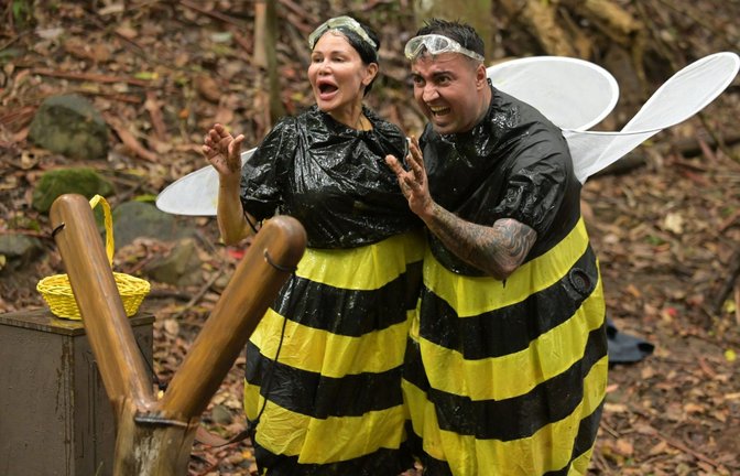 Beim Bienenspiel trumpfen Djamila Rowe und Cosimo Citiolo auf – doch die Schleimschlacht im Dschungelcamp  wird nicht belohnt.<span class='image-autor'>Foto: RTL/Stefan Thoyah</span>