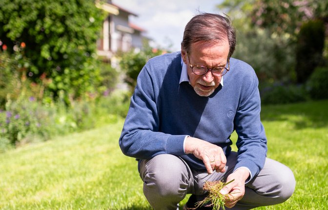 Das geschulte Auge sieht alles: Gerhard Lung untersucht seinen Rasen.<span class='image-autor'>Foto: Lichtgut/Julian Rettig</span>