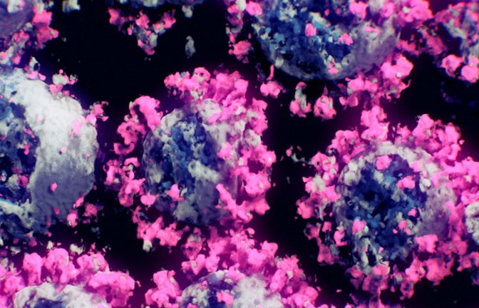Sars-CoV2 kennen wir inzwischen – doch welche Erreger lauern im Eis?<span class='image-autor'>Foto: dpa/Nanographics/apa</span>