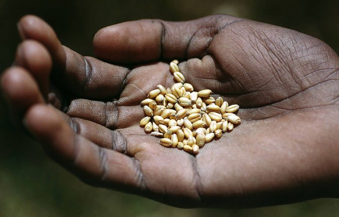 Die Welternährungsorganisation (FAO) rechnet in diesem Sommer mit einer Verschärfung der Nahrungsmittelkrise in Teilen Afrikas (Symbolfoto).<span class='image-autor'>Foto: imago/epd/imago stock&people</span>