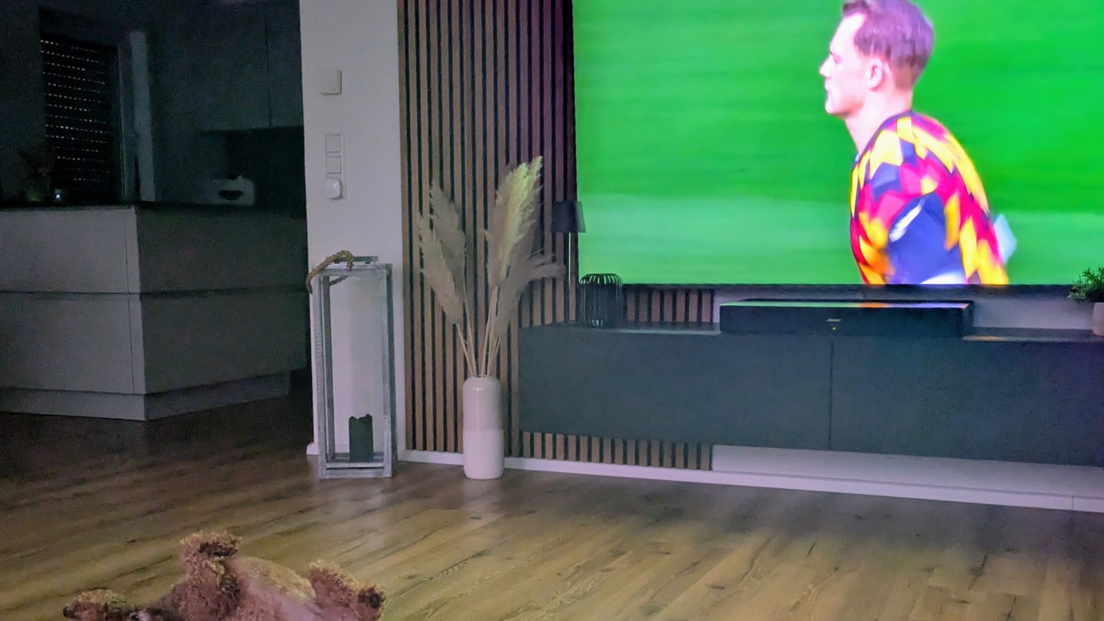 Das haut den stärksten Hund um – Deutschland ist bei der WM raus.  Foto: Ziegler