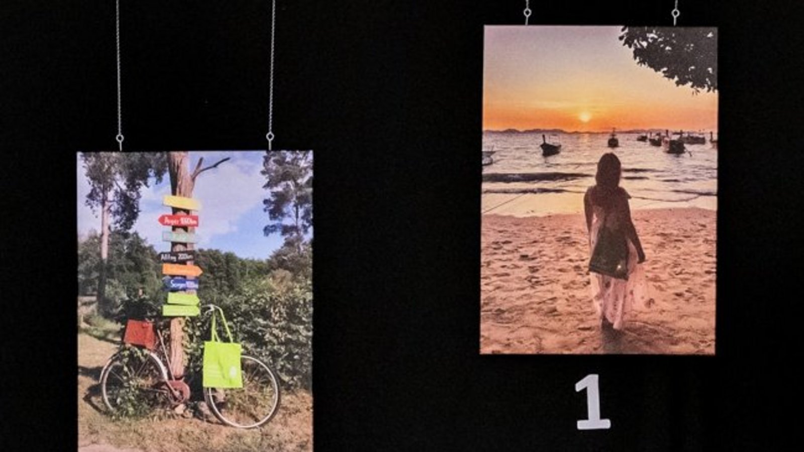 Die Beiträge des Fotowettbewerbs von 2024 und weitere Informationen zur Steillagen-App sind in der Ausstellung im Kreishaus zu sehen.  Foto: Landratsamt