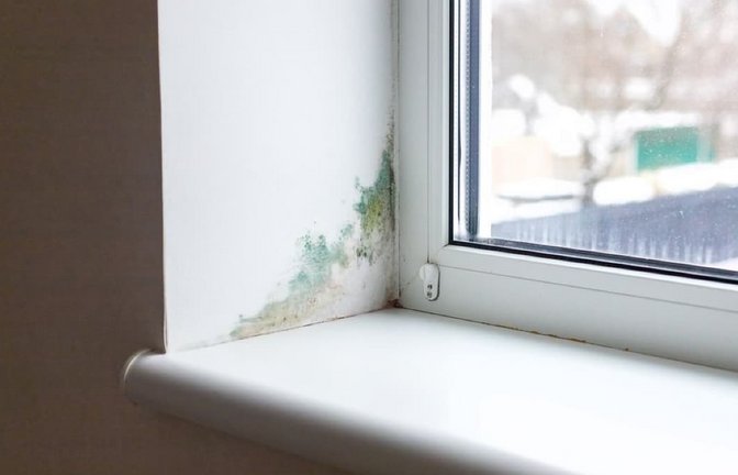 Erfahren Sie, ab welcher Luftfeuchtigkeit Schimmel entstehen kann & wie Sie diesem vorbeugen können. Alle Grenzwerte im Überblick.<span class='image-autor'>Tatevosian Yana / Shutterstock.com</span>