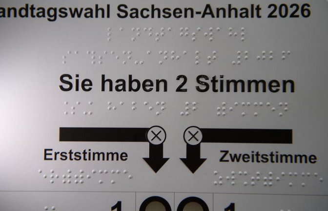 Wer liegt bei den aktuellsten Umfragen zur Landtagswahl in Sachsen-Anhalt vorn?<span class='image-autor'>Klaus-Dietmar Gabbert/dpa</span>