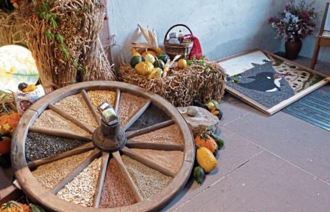 Derzeit werden die letzten Feldfrüchte eingebracht – wovon vielerorts Erntedank-Altäre wie hier in der Nussdorfer Kirche zeugen, fotografiert von Mesnerin Marianne Rapp.
