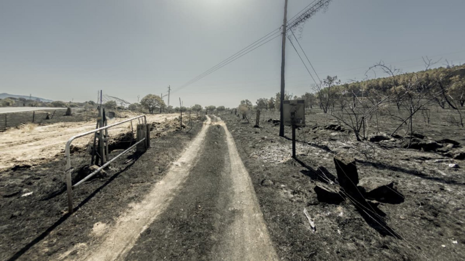 21.07.2026, Spanien, Lozoyuela: Blick auf das von einem Feuer verwüsteten Gebiet bei  Lozoyuela in der Autonomen Gemeinschaft Madrid. Der Waldbrand, der am 16. Juli 2026 ausbrach, zerstörte 865 Hektar Wald- und Buschland und zählt damit zu den schwersten Bränden, die in der Region jemals verzeichnet wurden.Ricardo Rubio/Europa Press/dpa