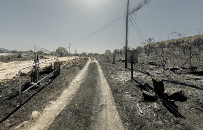 21.07.2026, Spanien, Lozoyuela: Blick auf das von einem Feuer verwüsteten Gebiet bei  Lozoyuela in der Autonomen Gemeinschaft Madrid. Der Waldbrand, der am 16. Juli 2026 ausbrach, zerstörte 865 Hektar Wald- und Buschland und zählt damit zu den schwersten Bränden, die in der Region jemals verzeichnet wurden.<span class='image-autor'>Ricardo Rubio/Europa Press/dpa</span>