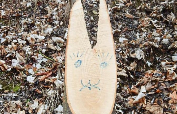 „Freundliche Grüße von den Männern mit den Kettensägen“ hat Albert Arning am Hammelbergweg in Enzweihingen eingefangen. Ähnliche Osterhasen habe der Bauhof am Hang bei der Grundschule in Aurich gezaubert, meldet Schulleiterin Susanne Siewert. Das freue die Kinder jetzt beim Spielen auf dem Pausenhof und sei eine Würdigung wert.