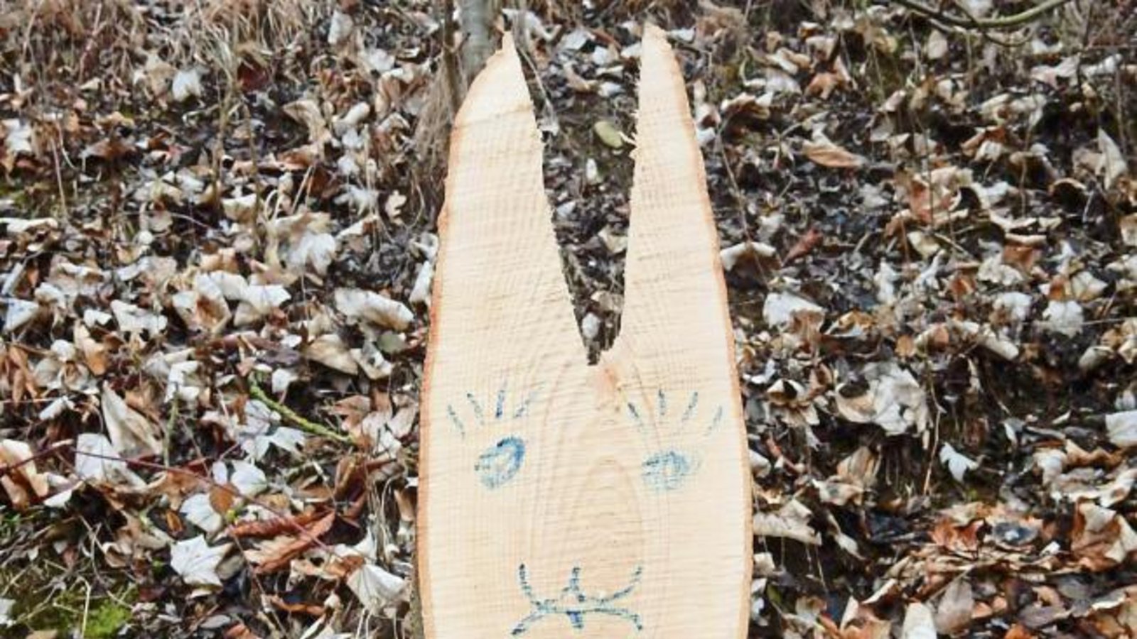 „Freundliche Grüße von den Männern mit den Kettensägen“ hat Albert Arning am Hammelbergweg in Enzweihingen eingefangen. Ähnliche Osterhasen habe der Bauhof am Hang bei der Grundschule in Aurich gezaubert, meldet Schulleiterin Susanne Siewert. Das freue die Kinder jetzt beim Spielen auf dem Pausenhof und sei eine Würdigung wert.