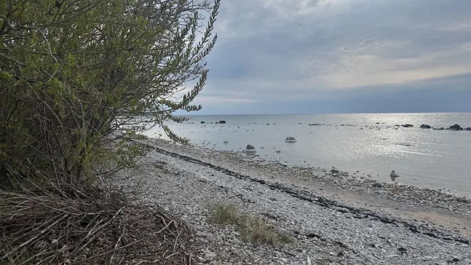 Tausende Jahre alt: Auf einer kleinen Insel vor Gotland haben Archäologen die Überreste einer schwangeren Frau entdeckt.picture alliance/dpa) Tausende Jahre alt: Auf einer kleinen Insel vor Gotland haben Archäologen die Überreste einer schwangeren Frau entdeckt.picture alliance/dpa)