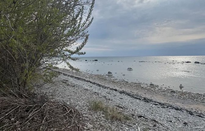 Tausende Jahre alt: Auf einer kleinen Insel vor Gotland haben Archäologen die Überreste einer schwangeren Frau entdeckt.<span class='image-autor'>picture alliance/dpa)</span>