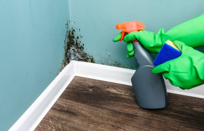 Gründliches Lüften ist das A und O nach der Behandlung.<span class='image-autor'>Foto: Smit / shutterstock.com</span>