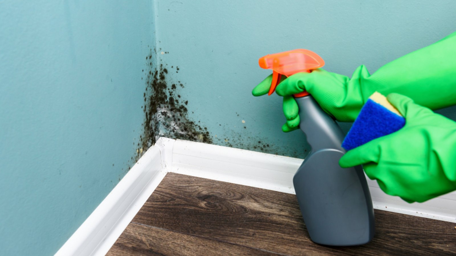 Gründliches Lüften ist das A und O nach der Behandlung.Foto: Smit / shutterstock.com Gründliches Lüften ist das A und O nach der Behandlung.Foto: Smit / shutterstock.com