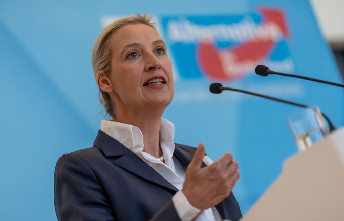 AfD-Chefin Alice Weidel bemängelt, die Empfehlungen der Rentenkommission seien nicht ausreichend.<span class='image-autor'>Foto: Michael Kappeler/dpa</span>