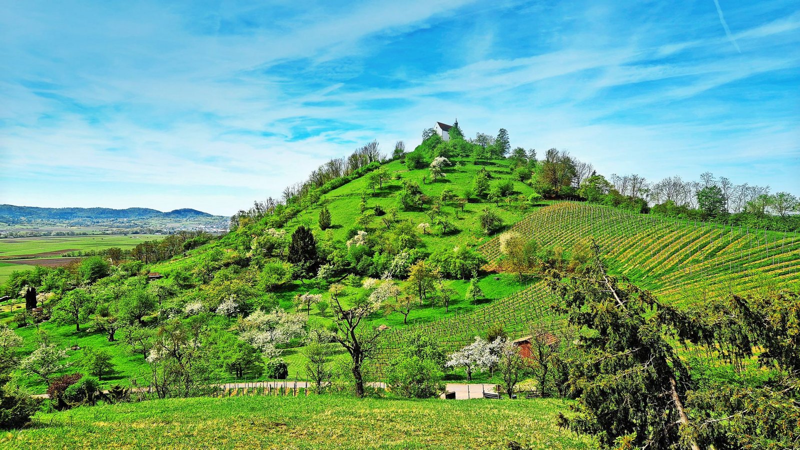„Droben stehet die Kapelle, Schauet still in’s Thal hinab“: Ludwig Uhland verewigte die Wurmlinger Kapelle literarisch.Foto: Günther Weinert „Droben stehet die Kapelle, Schauet still in’s Thal hinab“: Ludwig Uhland verewigte die Wurmlinger Kapelle literarisch.Foto: Günther Weinert
