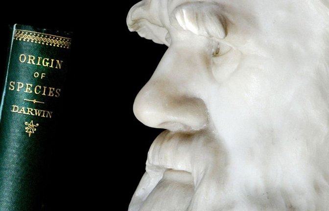 Eine Erstausgabe von Charles Darwins Buch „The Origin of Species“ von 1859 im Londoner Natural History Museum. Das Opus Magnum des Vaters der Evolutionslehre ist einer der bedeutendsten Meilensteine in der Wissenschaftsgeschichte.<span class='image-autor'>Foto: AFP</span>