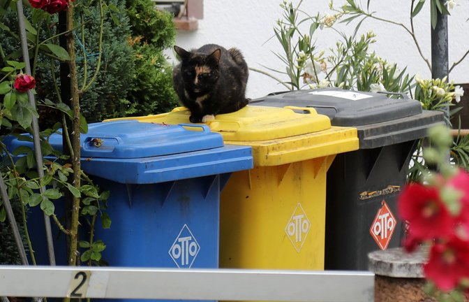 Mülltrennung bedeutet Umweltschutz, doch die Entsorgung ist nicht immer klar.<span class='image-autor'>Foto: imago/Karina Hessland</span>