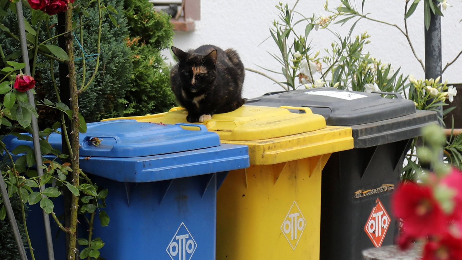 Mülltrennung bedeutet Umweltschutz, doch die Entsorgung ist nicht immer klar.Foto: imago/Karina Hessland Mülltrennung bedeutet Umweltschutz, doch die Entsorgung ist nicht immer klar.Foto: imago/Karina Hessland