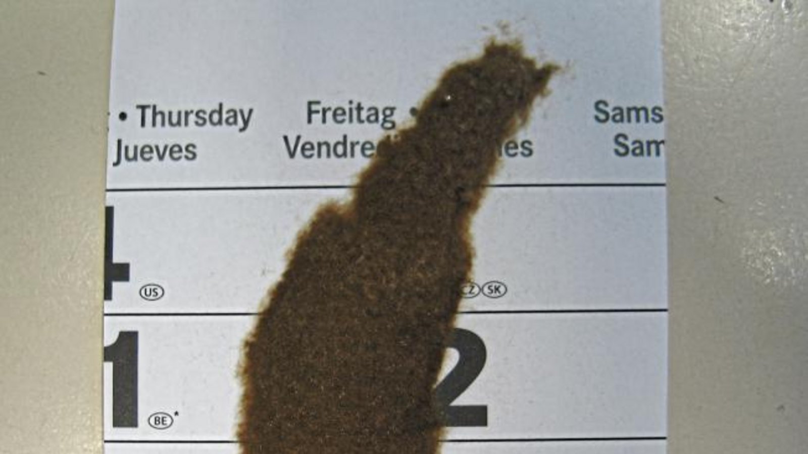Jürgen Fink aus Illingen schreibt zu seinem Foto: „Folgende Ablage oder Ähnliches hat meine Frau im Büro auf dem Kalenderblatt entdeckt.“ Vielleicht wüssten die Leser, was es sei. Die Redaktions-Biologin tippt auf ein Gelege des Schmetterlings namens Schwammspinner, welches das Weibchen mit sogenannter Afterwolle bedeckt. Jürgen Fink aus Illingen schreibt zu seinem Foto: „Folgende Ablage oder Ähnliches hat meine Frau im Büro auf dem Kalenderblatt entdeckt.“ Vielleicht wüssten die Leser, was es sei. Die Redaktions-Biologin tippt auf ein Gelege des Schmetterlings namens Schwammspinner, welches das Weibchen mit sogenannter Afterwolle bedeckt.