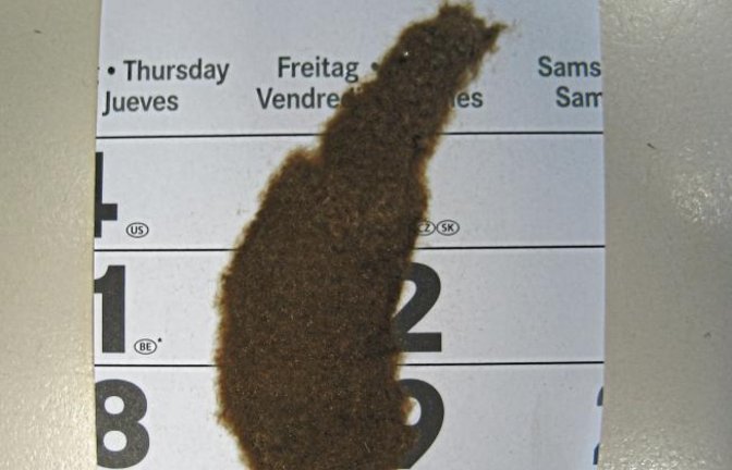 Jürgen Fink aus Illingen schreibt zu seinem Foto: „Folgende Ablage oder Ähnliches hat meine Frau im Büro auf dem Kalenderblatt entdeckt.“ Vielleicht wüssten die Leser, was es sei. Die Redaktions-Biologin tippt auf ein Gelege des Schmetterlings namens Schwammspinner, welches das Weibchen mit sogenannter Afterwolle bedeckt.