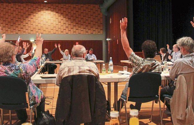Breite Zustimmung im Gemeinderat: Alle außer Klaus Kluge sprechen sich für eine Flurneuordnung in Illingen aus.  Foto: Rostek