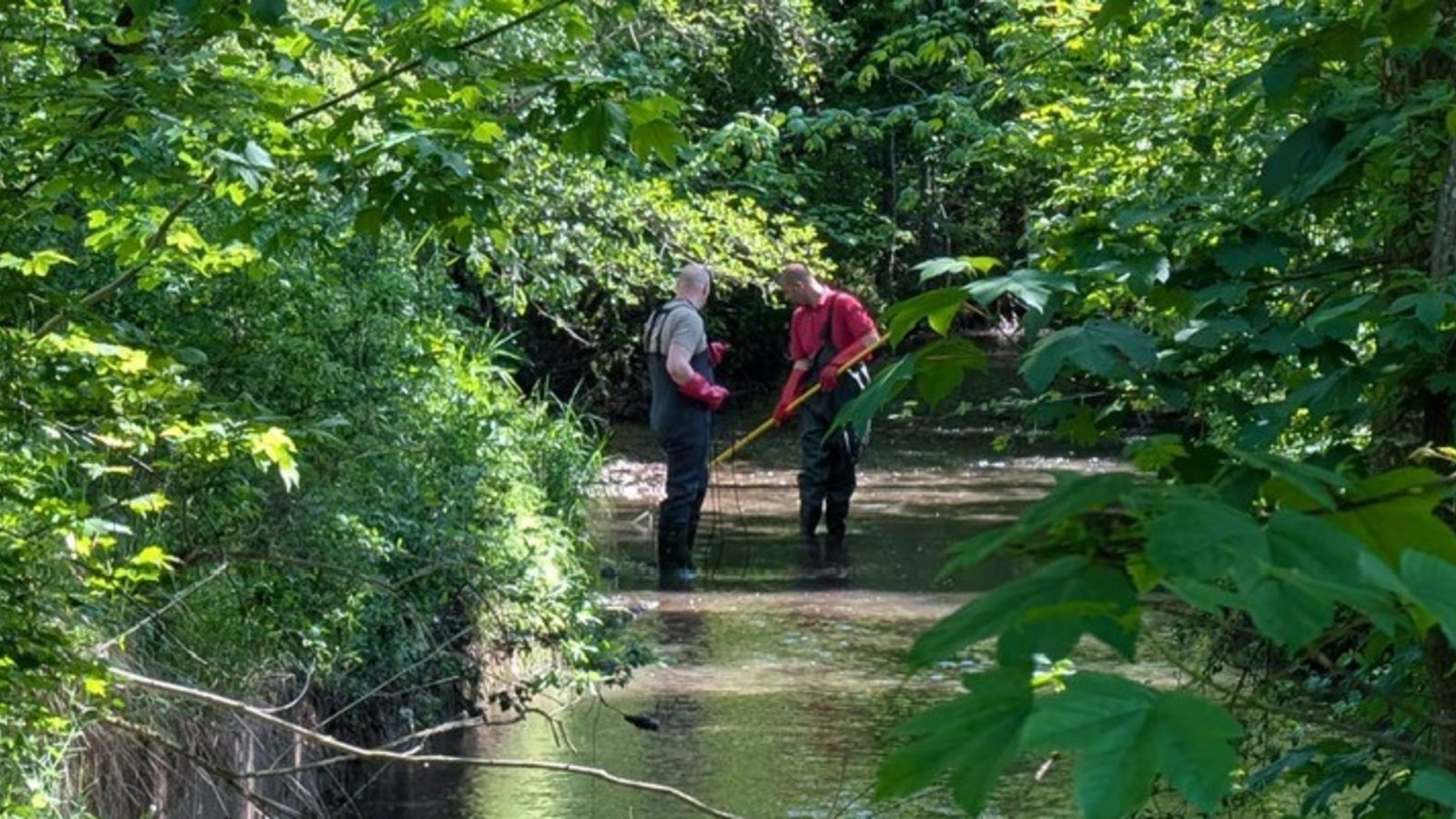 Eine Elektrobefischung des Landesfischereiverbands bringt traurige Gewissheit: Der gesamte Fischbestand in der Metter zwischen Sersheim und Bietigheim ist verendet.  Foto: p