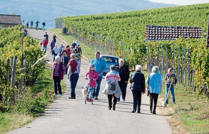 Nicht nur in Illingen, auch andernorts zog es die Menschen gestern ins Freie. Diese „Völkerwanderung“ in den Roßwager Weinbergen hat Albert Arning fotografiert.