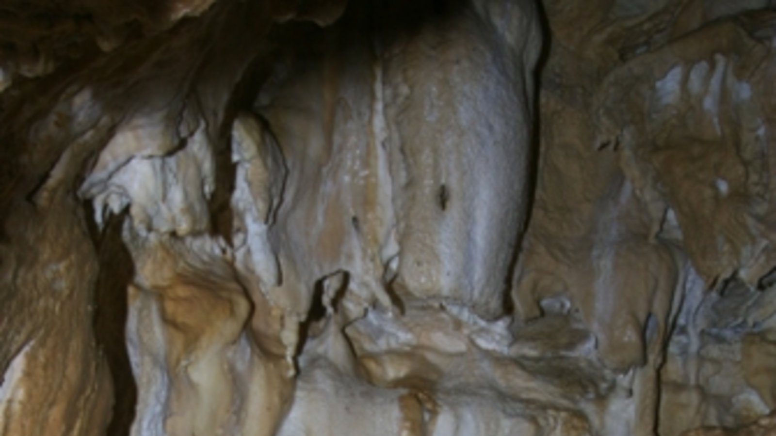 Am Tor der Hoffnung: Schöne Lau haben die Höhlenforscher diese boizarre an einen Frauenkörper erinnernde Kalkformation am Eingang zur Vetterhöhle genannt.Foto: Markus Boldt/ Höhlenverein Blaubeuren (HvB) Am Tor der Hoffnung: Schöne Lau haben die Höhlenforscher diese boizarre an einen Frauenkörper erinnernde Kalkformation am Eingang zur Vetterhöhle genannt.Foto: Markus Boldt/ Höhlenverein Blaubeuren (HvB)