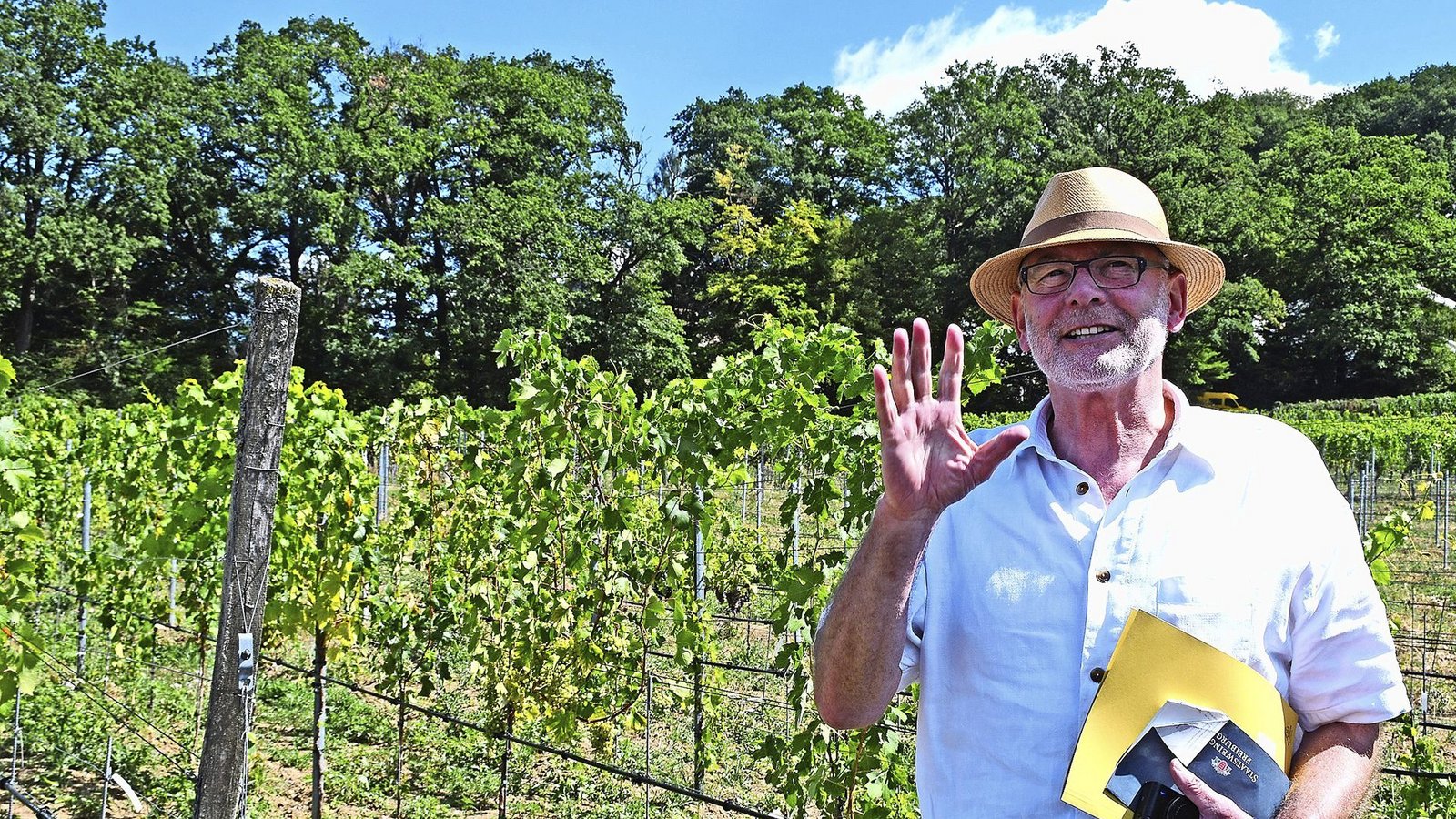 Neue Rebsorten für umweltschonenderen Weinbau: Rolf Steiner, Direktor des Staatlichen Weinbauinstituts Freiburg, stellt pilzwiderstandsfähige Sorten vor.Foto: dpa/Peter Zschunke Neue Rebsorten für umweltschonenderen Weinbau: Rolf Steiner, Direktor des Staatlichen Weinbauinstituts Freiburg, stellt pilzwiderstandsfähige Sorten vor.Foto: dpa/Peter Zschunke