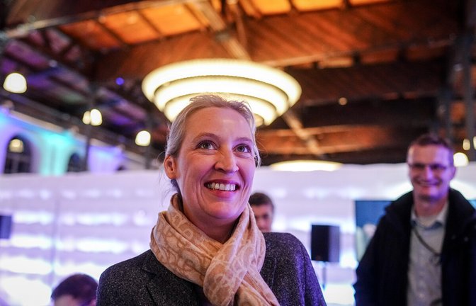 In der ARD-Wahlarena trat Weidel moderater auf, als man es von ihr kennt.In der ARD-Wahlarena trat Weidel moderater auf, als man es von ihr kennt.<span class='image-autor'>Foto: Kay Nietfeld/dpa/Kay Nietfeld</span>