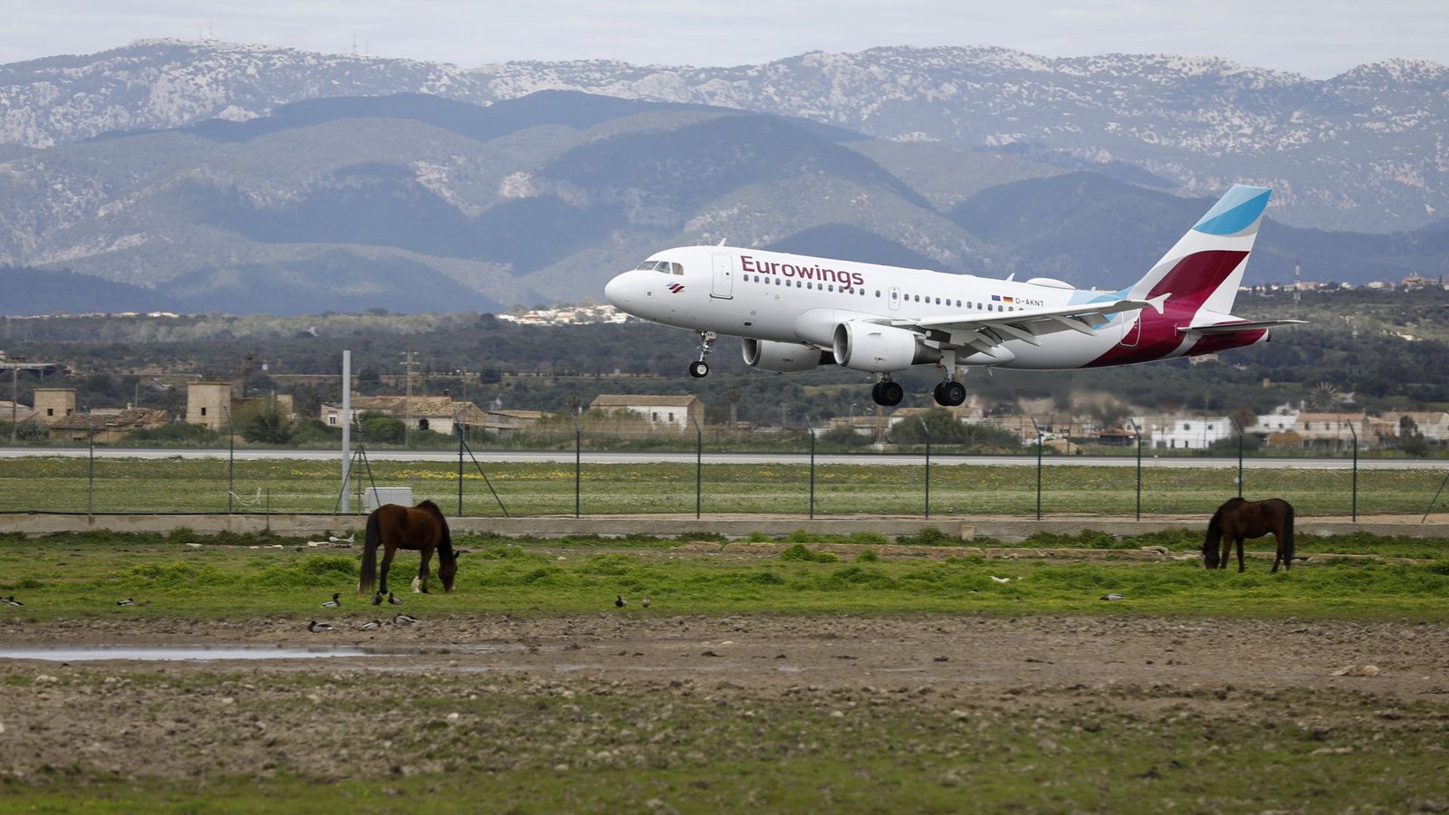 Eurowings-Landung in Palma de Mallorca.Foto: dpa Eurowings-Landung in Palma de Mallorca.Foto: dpa