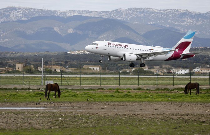 Eurowings-Landung in Palma de Mallorca.<span class='image-autor'>Foto: dpa</span>