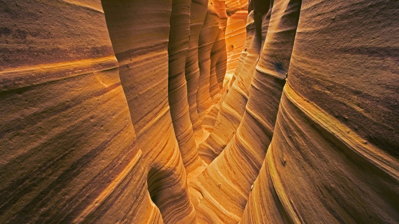 Bereits vor über 3000 Jahren lebten Menschen im Bereich des Grand Canyon. Die Desert Culture genannten Indianer waren Jäger und Sammler, die Körbe und Sandalen herstellen konnten und mit Speerspitzen aus Stein auf die Jagd gingen.
Vor etwa 2000 Jahren besiedelten die als Anasazi bekannten Völker das Gebiet.Foto: Imago/Cavan-Images Bereits vor über 3000 Jahren lebten Menschen im Bereich des Grand Canyon. Die Desert Culture genannten Indianer waren Jäger und Sammler, die Körbe und Sandalen herstellen konnten und mit Speerspitzen aus Stein auf die Jagd gingen.
Vor etwa 2000 Jahren besiedelten die als Anasazi bekannten Völker das Gebiet.Foto: Imago/Cavan-Images