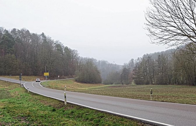 In Blickrichtung rechts von der Kreisstraße 1688, ungefähr in Höhe des Abzweigs nach Heimerdingen, wird der Hauptdamm beginnen, sich in einer Länge von rund 100 Metern nach Westen ziehen und den Strudelbach kreuzen.  Foto: Rücker
