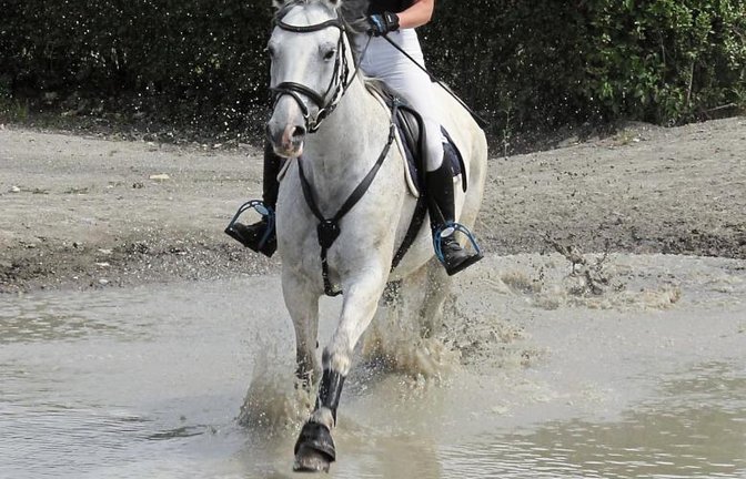Der Wassergraben ist für Lisa Roßmann auf dem Rücken von White Sugar kein Problem bei der Geländeprüfung Klasse L. Foto: Nachreiner