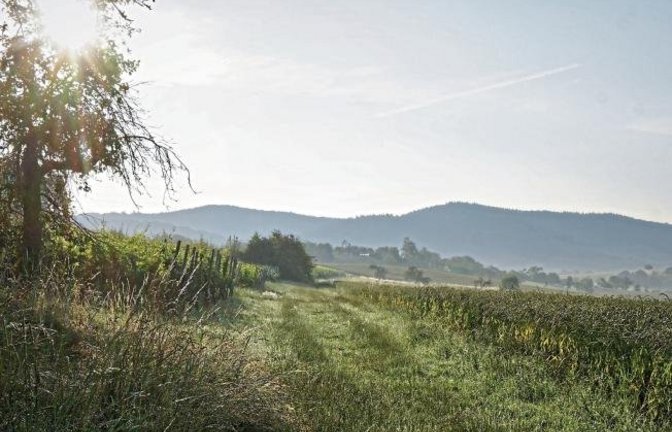 Morgenstimmung in Gündelbach. Foto: Thalhäuser