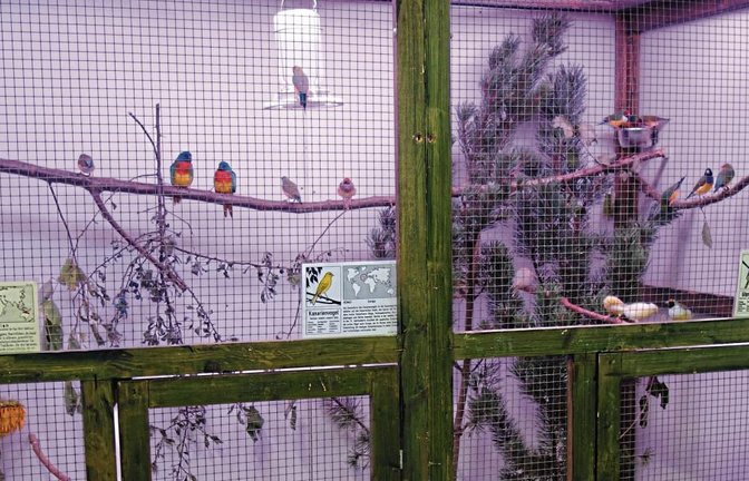 Zum ersten Mal nach dem Anschluss des Vogelvereins gab es Volieren mit Vögeln.  Fotos: p