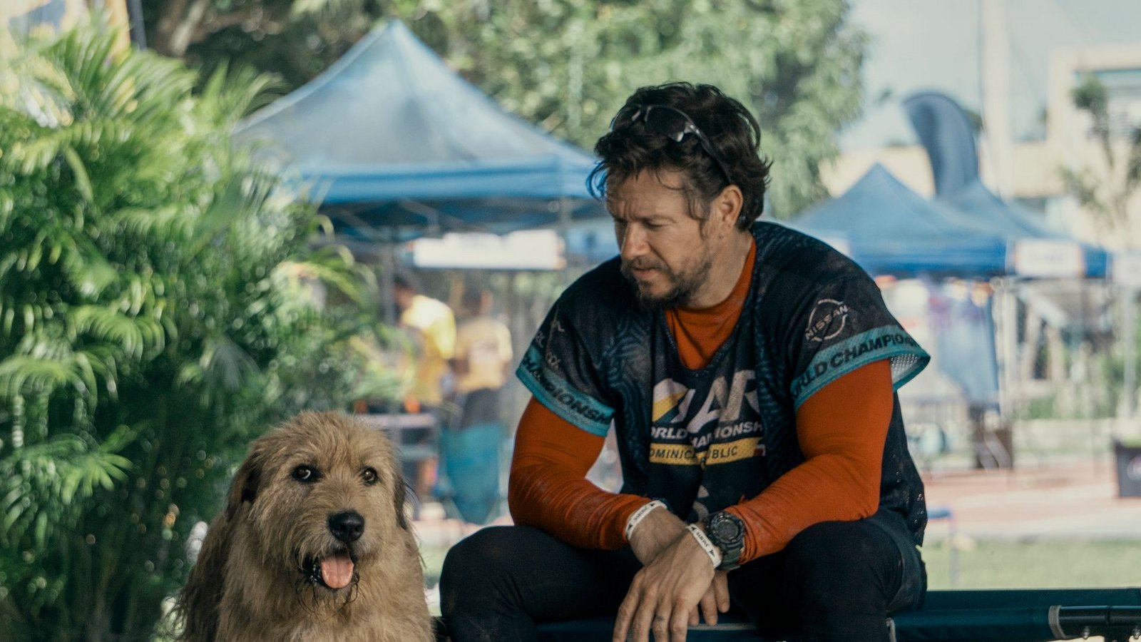 Mark Wahlberg als Michael in einer Szene des Films "Arthur der Große". Der Schauspieler setzt sich für die Adoption von Haustieren ein.Foto: Carlos Rodriguez/Lionsgate/dpa