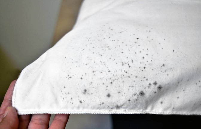 Foto: Maliflower73 / Shutterstock.com
