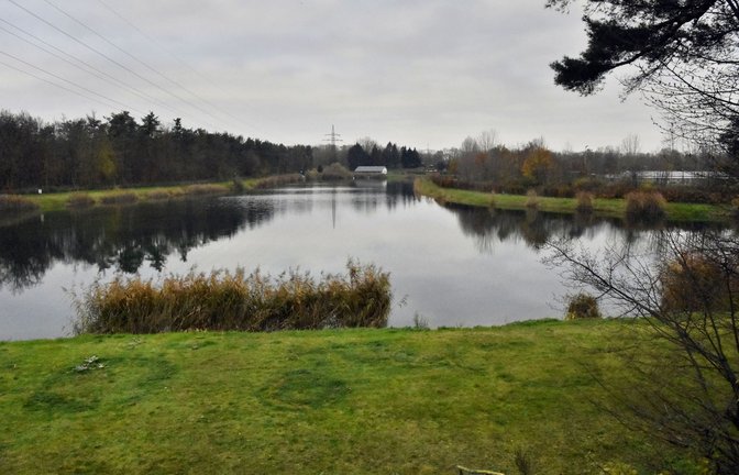 Am Münchfeldsee in Rastatt soll das neue Klinikum gebaut werden.<span class='image-autor'>Foto: S/Jehle</span>