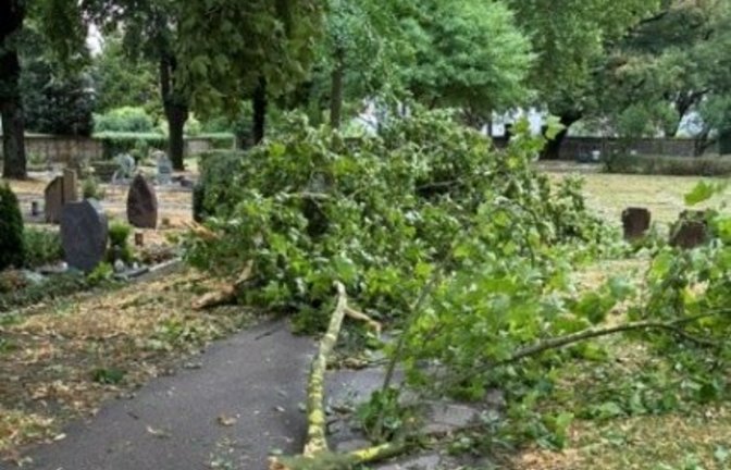 Auch auf dem Friedhof in Sachsenheim sind Bäume beschädigt worden. <span class='image-autor'>Foto: p</span>