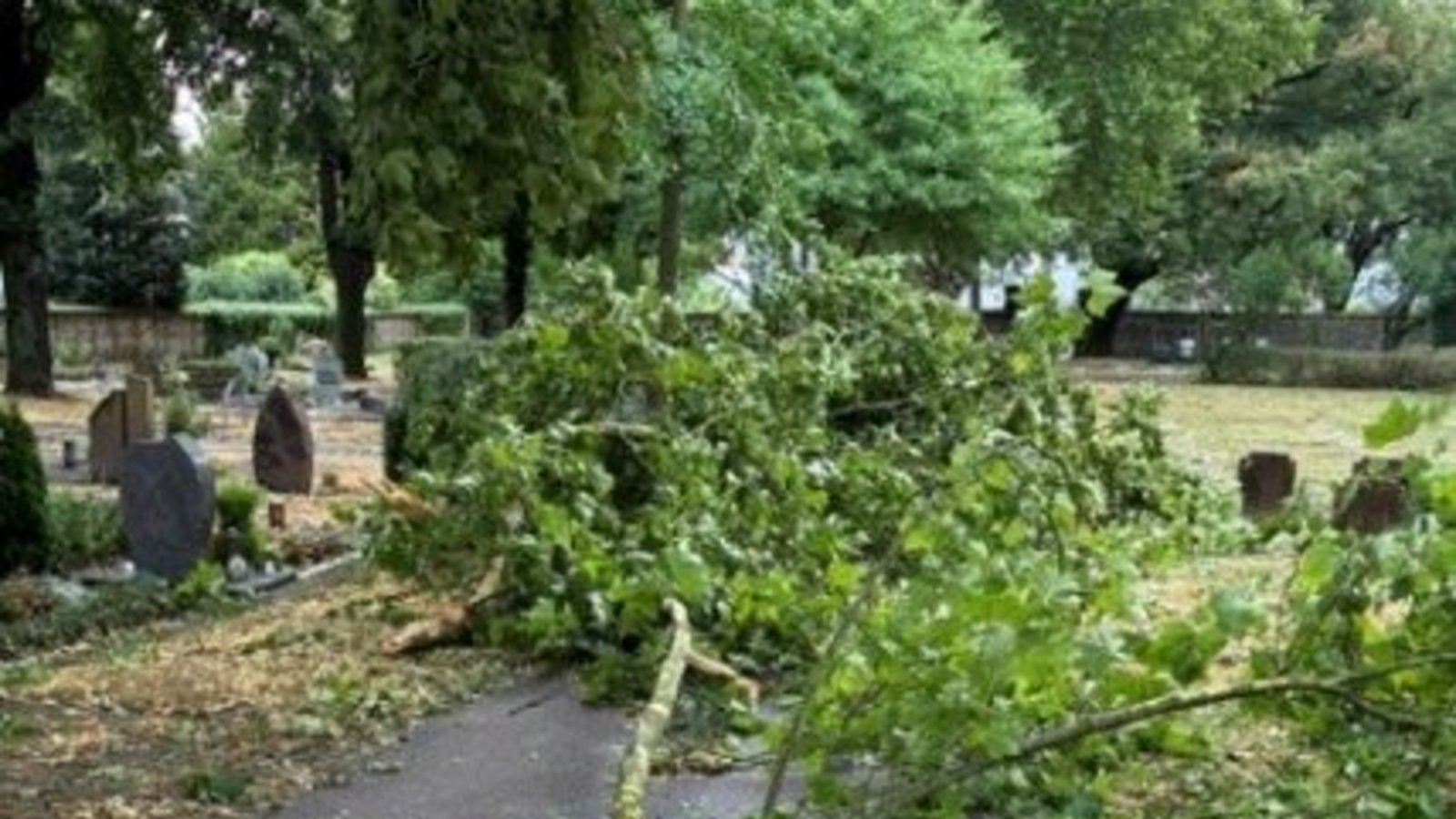 Auch auf dem Friedhof in Sachsenheim sind Bäume beschädigt worden. Foto: p